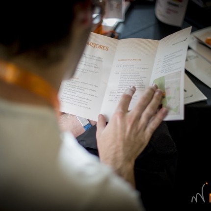 Muestra Mejores Triptico