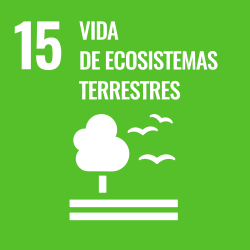 15. ODS Vida de ecosistemas terrestres